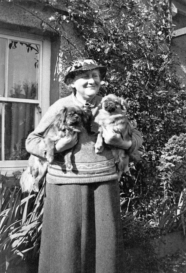 Beatrix Potter Books: Top 10 Best Selling Books by Beatrix Potter