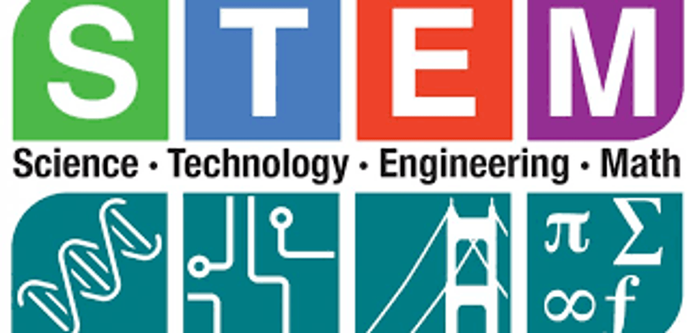 How To Get Kids Interested In STEM Subjects?