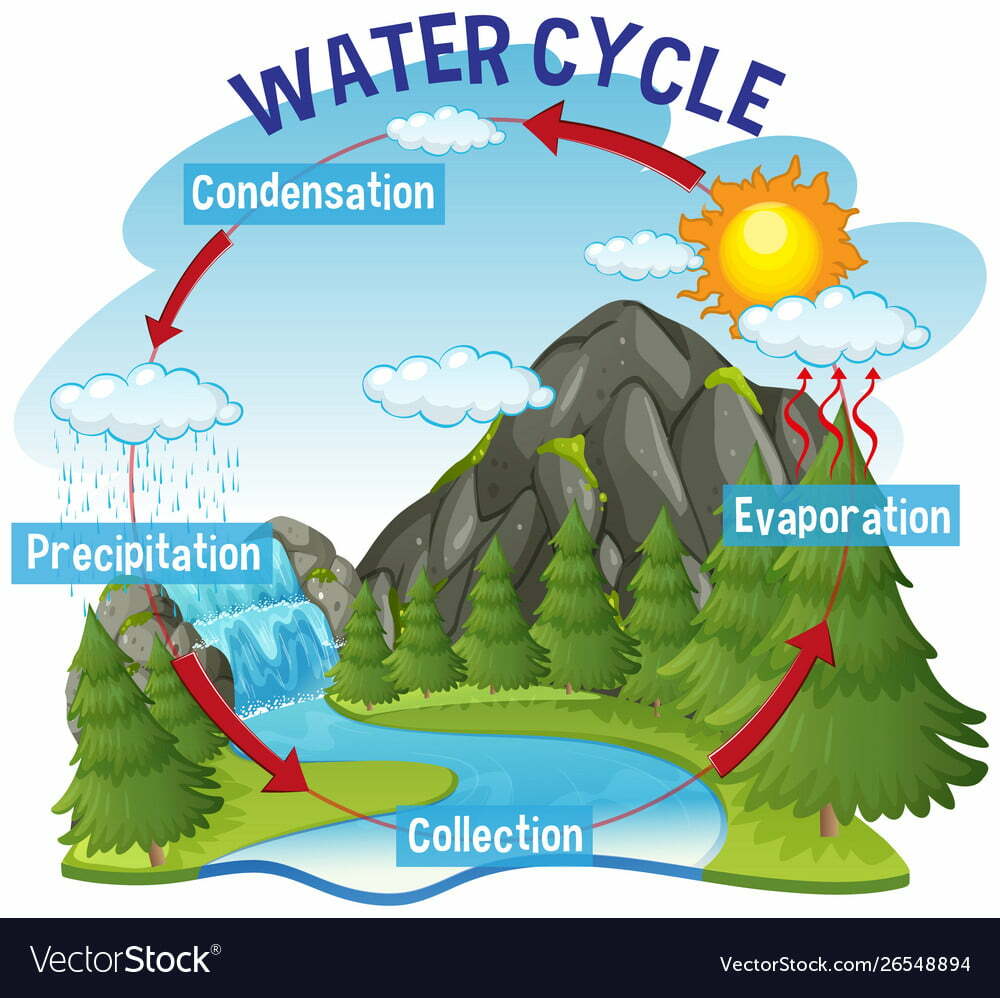 What is Water Cycle?
