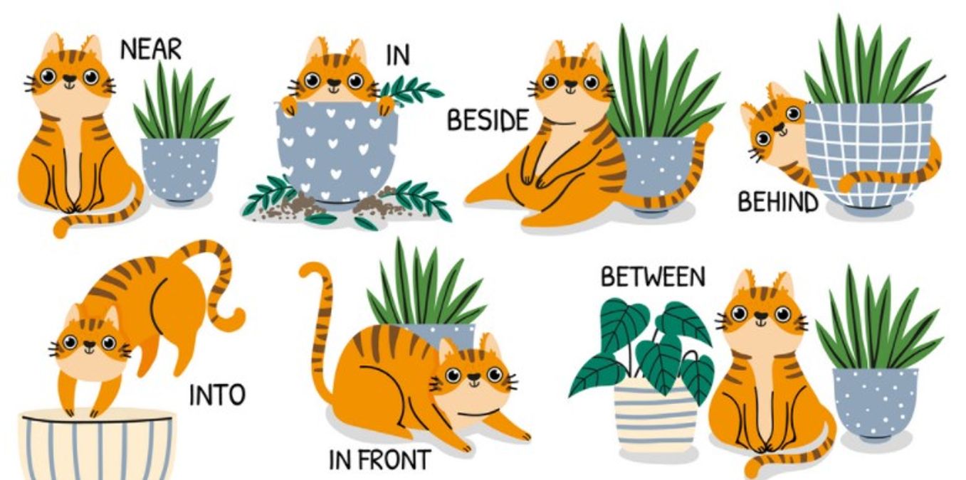 What are the Various Types of Prepositions?