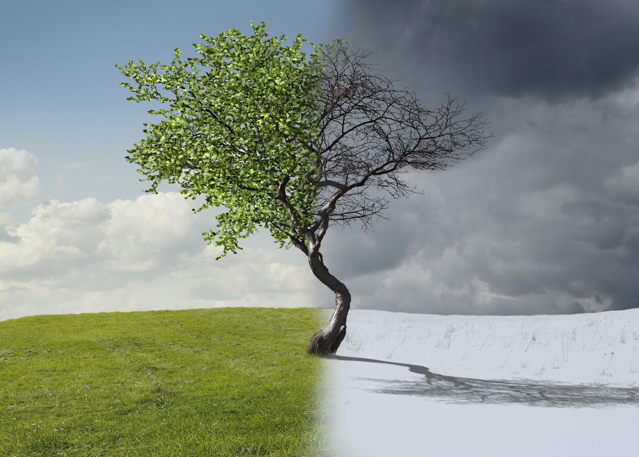 Difference between Weather and Climate