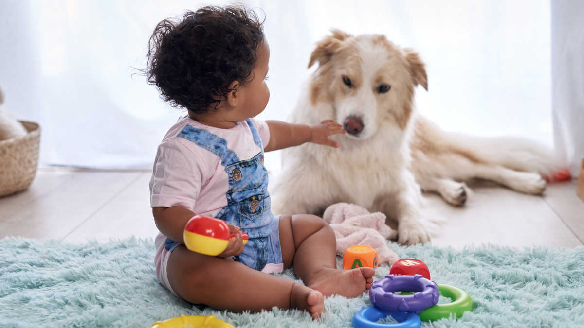 Children Personality Development: Great Benefits of Pets for Your Child’s Personality Development