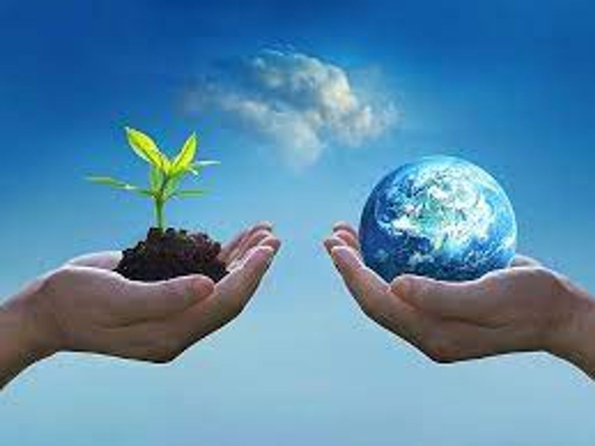 How to teach kids to protect the environment