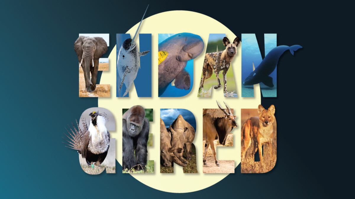 7 लुप्तप्राय पशु प्रजाति 2022 तक की