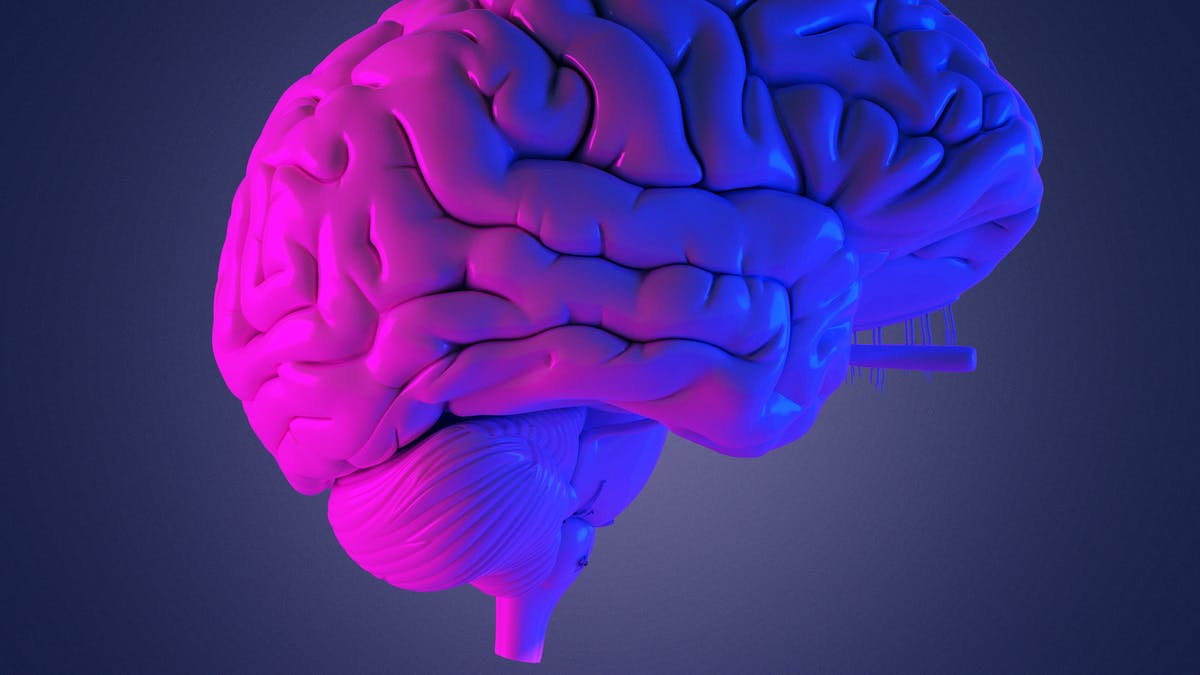 How to Concentrate on Studies?