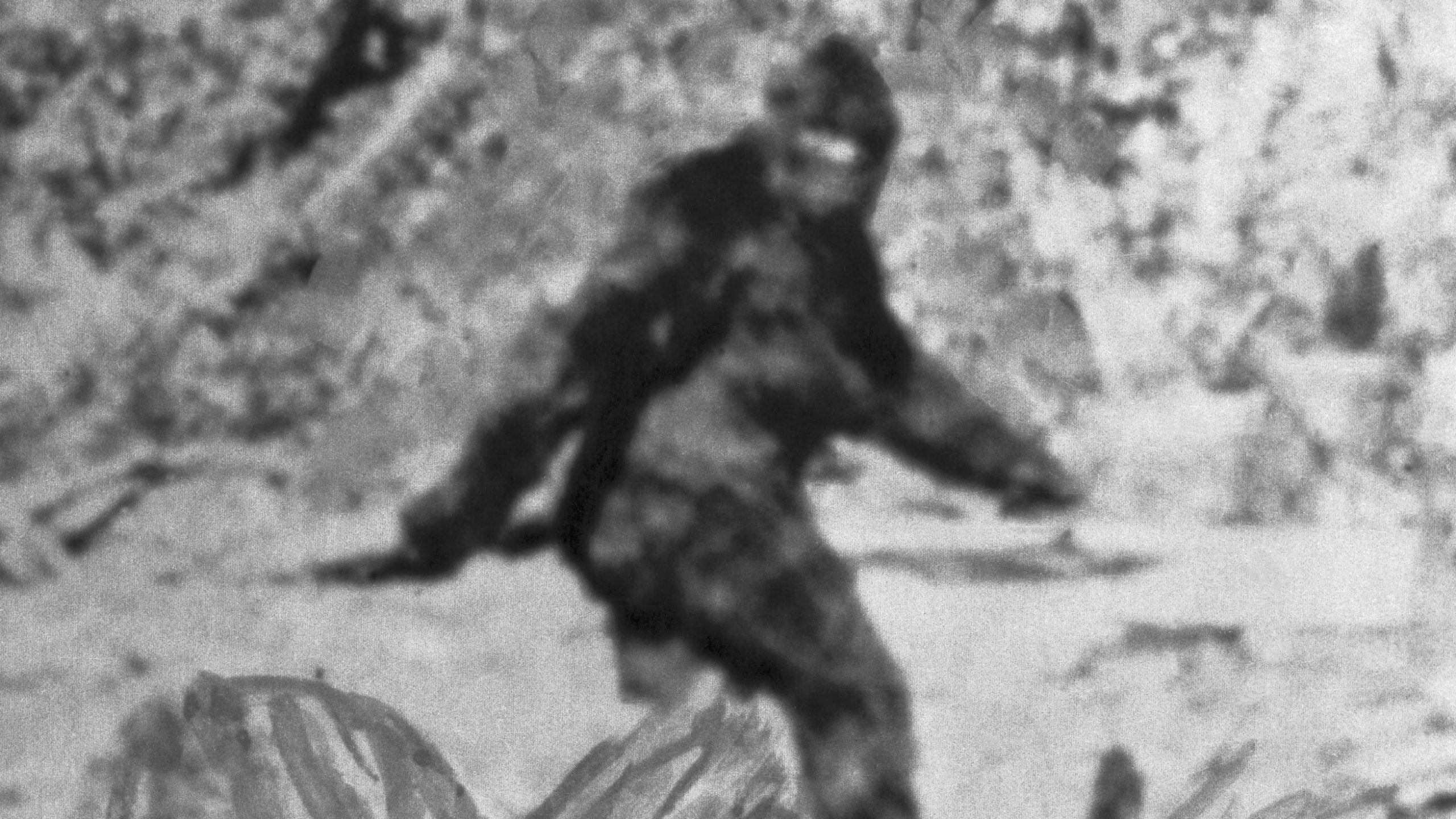 Amazing Facts About Bigfoot